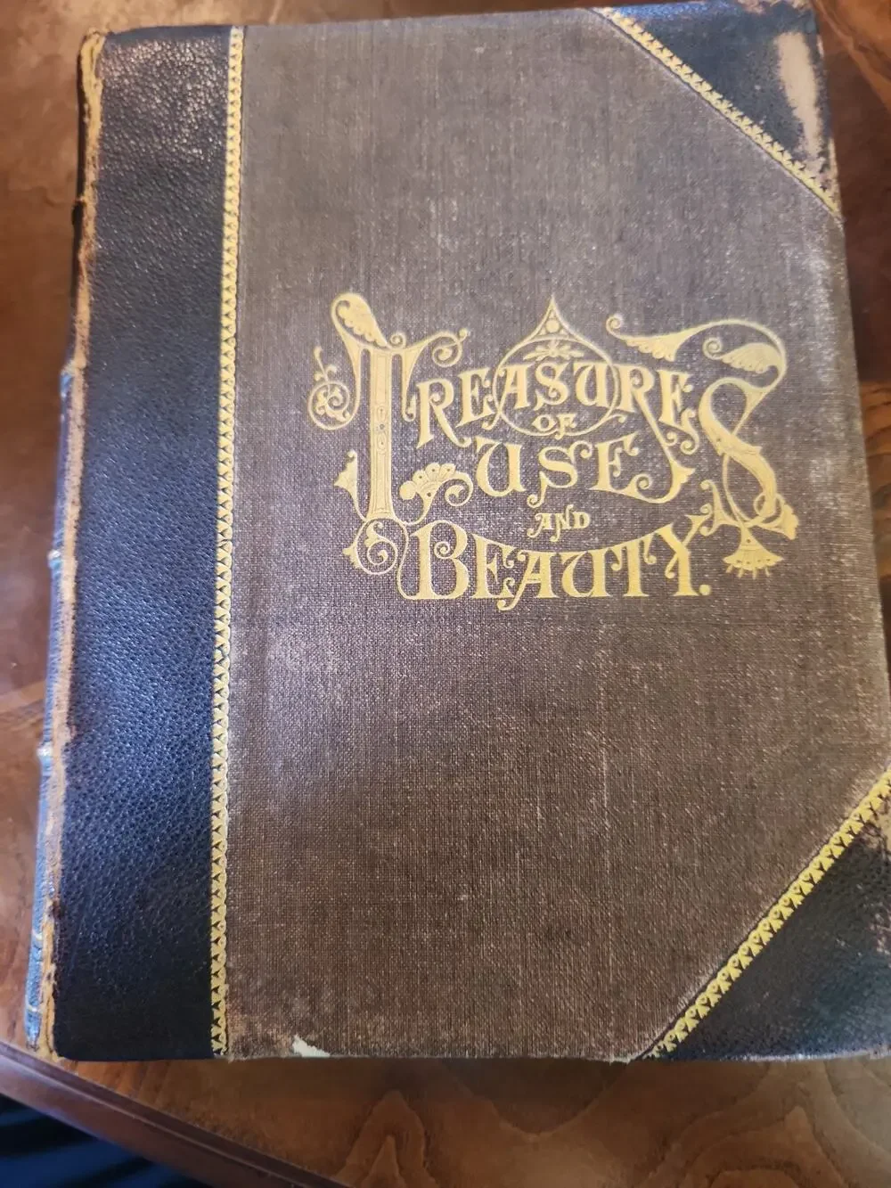 1883 TREASURES OF USE AND BEAUTY Victorian Wisdom History Crafts Illustrated